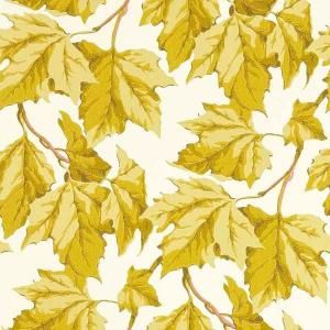 ڳʡ͢ɻHARLEQUIN X SOPHIE ROBINSON WALLPAPERSHARLEQUIN ꥹDappled Leafס52cmҡ10m