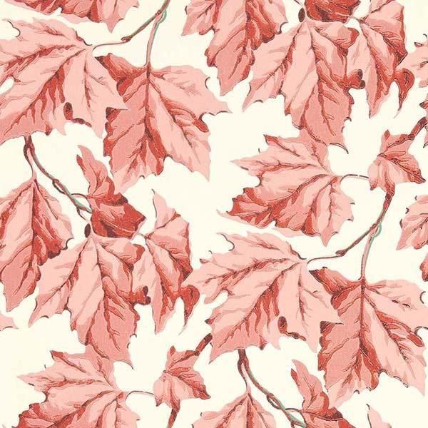 ڳʡ͢ɻHARLEQUIN X SOPHIE ROBINSON WALLPAPERSHARLEQUIN ꥹDappled Leafס52cmҡ10m