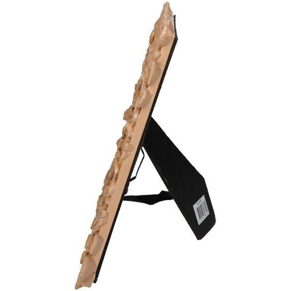 ¨Ǽġۥ  ե եȥե졼 ԡ(W18H22.5cm) 
