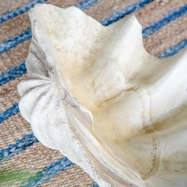 11ͽۡA&B Homeۥ饷å󡦳Υ֥ LW64D42H22cm
 