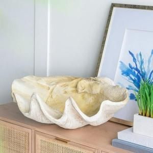 【11月中旬入荷予定】【A&B Home】クラシックモダン・貝のオブジェ L(W64×D42×H22cm)
<img class='new_mark_img2' src='https://img.shop-pro.jp/img/new/icons1.gif' style='border:none;display:inline;margin:0px;padding:0px;width:auto;' />