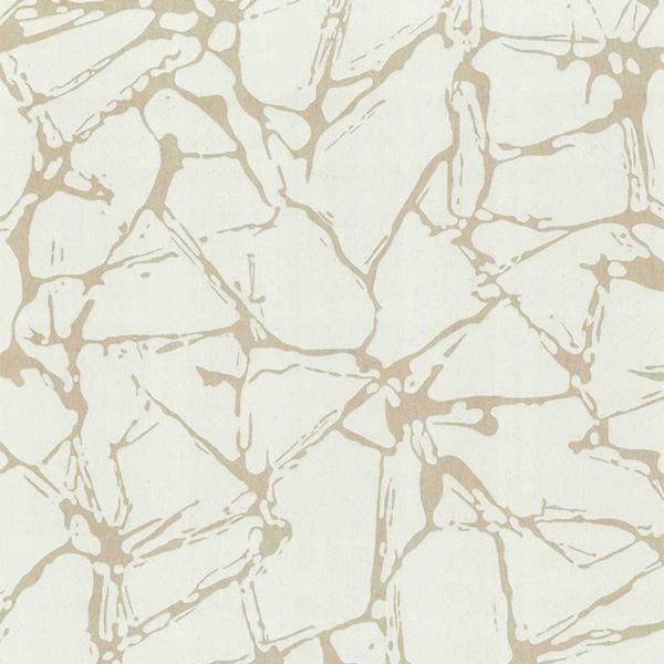 㳤ʢCAMELLIA1838WALLCOVERINGS -ꥹ- (52cmҡ10m)