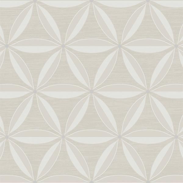 㳤ʢCASA BLANCA2WALLQUEST -ꥫ- (52cmҡ10m)