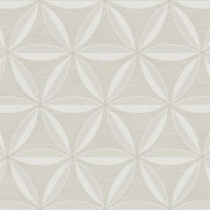 㳤ʢCASA BLANCA2WALLQUEST -ꥫ- (52cmҡ10m)
