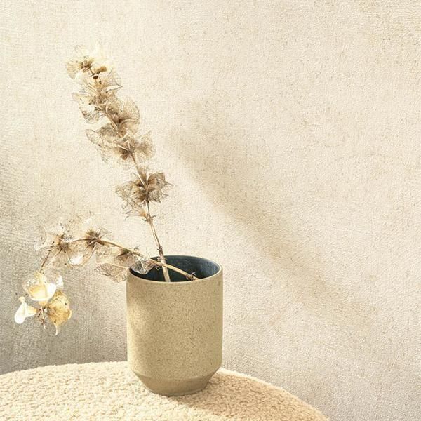 㳤ʢMINERALSCASADECO -ե-53cm10m