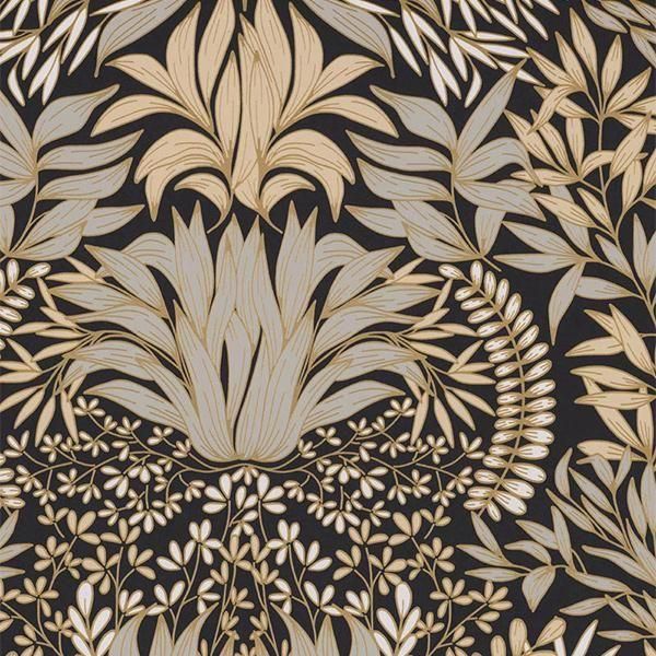 㳤ʢSQUARE JASMINCASAMANCE -ե-70cm10m