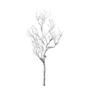 ¨Ǽġۥꥹޥȥåǥ졼ԥåۥ磻ȡH80cm<img class='new_mark_img2' src='https://img.shop-pro.jp/img/new/icons1.gif' style='border:none;display:inline;margin:0px;padding:0px;width:auto;' />