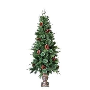 ¨Ǽġۥѥݥåȥꥹޥĥ꡼H120cm<img class='new_mark_img2' src='https://img.shop-pro.jp/img/new/icons1.gif' style='border:none;display:inline;margin:0px;padding:0px;width:auto;' />