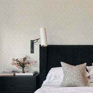߸ʢ͢ɻ<b>Classic</b>-㡼ӥ- BREWSTERʥꥫˡ52cmҡ10m