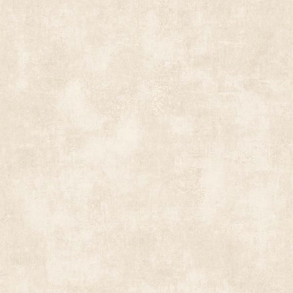 ߸ʢ͢ɻ Elegant -ȡ- CASADECOʥե󥹡ˡ53cmҡ10m