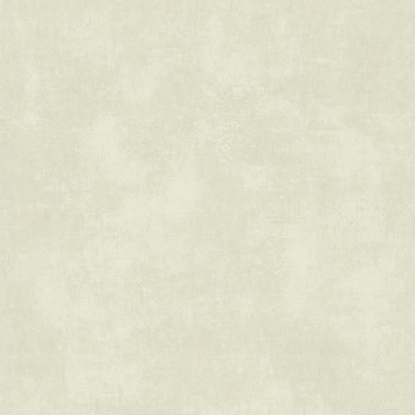 ߸ʢ͢ɻ Elegant -ȡ- CASADECOʥե󥹡ˡ53cmҡ10m