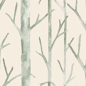 ڳʡ͢ɻ<b>SCALAMANDRE</b>-Everett- J&Vʥꥢˡ70cmҡ10m<img class='new_mark_img2' src='https://img.shop-pro.jp/img/new/icons1.gif' style='border:none;display:inline;margin:0px;padding:0px;width:auto;' />