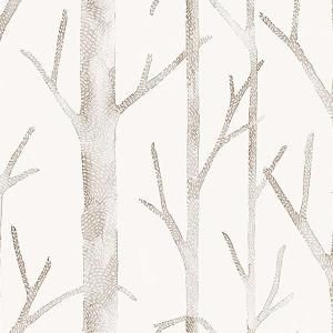 ڳʡ͢ɻ<b>SCALAMANDRE</b>-Everett- J&Vʥꥢˡ70cmҡ10m<img class='new_mark_img2' src='https://img.shop-pro.jp/img/new/icons1.gif' style='border:none;display:inline;margin:0px;padding:0px;width:auto;' />