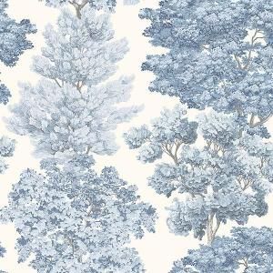 ڳʡ͢ɻ<b>SCALAMANDRE</b>-Central Park- J&Vʥꥢˡ70cmҡ10m<img class='new_mark_img2' src='https://img.shop-pro.jp/img/new/icons1.gif' style='border:none;display:inline;margin:0px;padding:0px;width:auto;' />