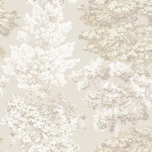 ڳʡ͢ɻ<b>SCALAMANDRE</b>-Central Park- J&Vʥꥢˡ70cmҡ10m<img class='new_mark_img2' src='https://img.shop-pro.jp/img/new/icons1.gif' style='border:none;display:inline;margin:0px;padding:0px;width:auto;' />