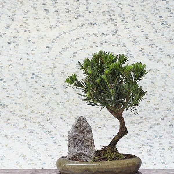  ڳʡ͢ɻ SHINRIN YOKU -Meditation Stone- COLE&SONʥꥹˡ52cmҡ8m