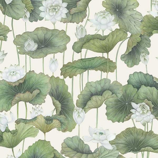  ڳʡ͢ɻ SHINRIN YOKU -Lily Lotus- COLE&SONʥꥹˡ70cmҡ8m