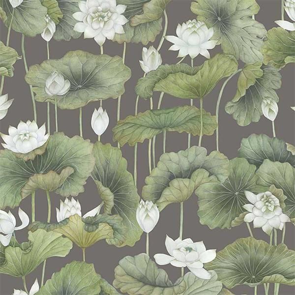  ڳʡ͢ɻ SHINRIN YOKU -Lily Lotus- COLE&SONʥꥹˡ70cmҡ8m