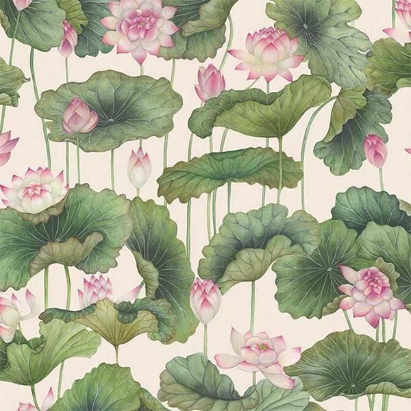  ڳʡ͢ɻ SHINRIN YOKU -Lily Lotus- COLE&SONʥꥹˡ70cmҡ8m