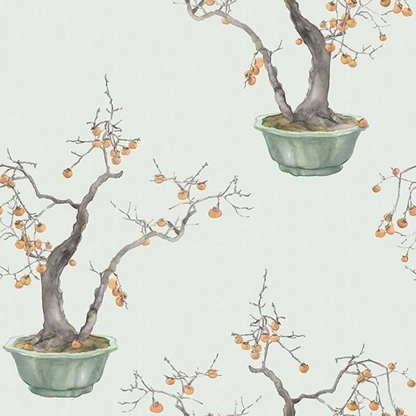  ڳʡ͢ɻ SHINRIN YOKU -Kaki Persimmon- COLE&SONʥꥹˡ52cmҡ8m