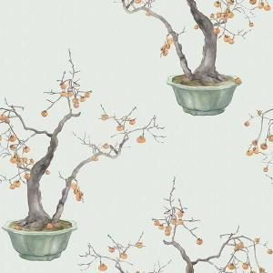 <img class='new_mark_img1' src='https://img.shop-pro.jp/img/new/icons1.gif' style='border:none;display:inline;margin:0px;padding:0px;width:auto;' />ڳʡ͢ɻ<b>SHINRIN YOKU</b>-Kaki Persimmon- COLE&SONʥꥹˡ52cmҡ8m