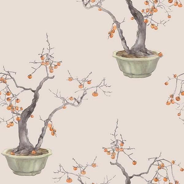  ڳʡ͢ɻ SHINRIN YOKU -Kaki Persimmon- COLE&SONʥꥹˡ52cmҡ8m