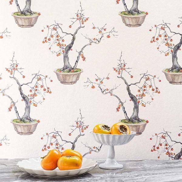  ڳʡ͢ɻ SHINRIN YOKU -Kaki Persimmon- COLE&SONʥꥹˡ52cmҡ8m