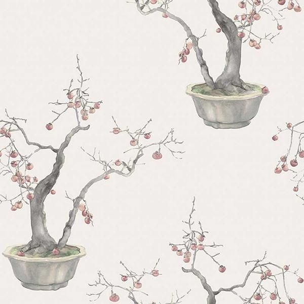  ڳʡ͢ɻ SHINRIN YOKU -Kaki Persimmon- COLE&SONʥꥹˡ52cmҡ8m