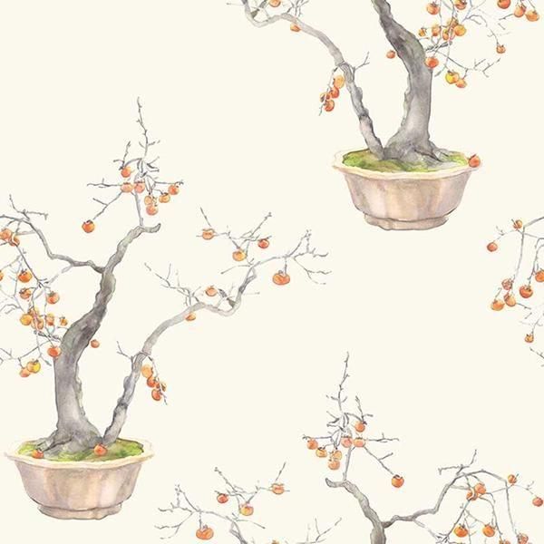  ڳʡ͢ɻ SHINRIN YOKU -Kaki Persimmon- COLE&SONʥꥹˡ52cmҡ8m
