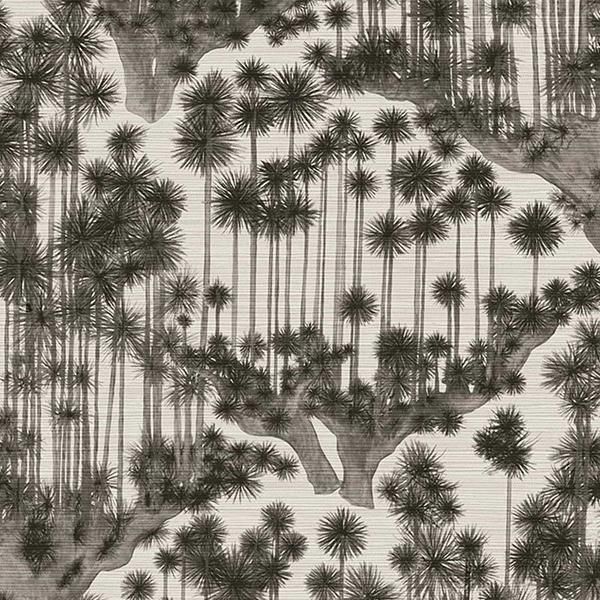  ڳʡ͢ɻ SHINRIN YOKU -Japanese Woods- COLE&SONʥꥹˡ70cmҡ8m