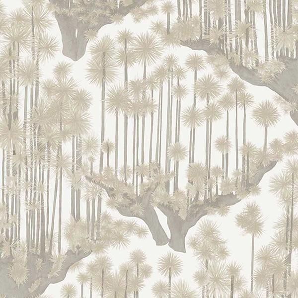  ڳʡ͢ɻ SHINRIN YOKU -Japanese Woods- COLE&SONʥꥹˡ70cmҡ8m