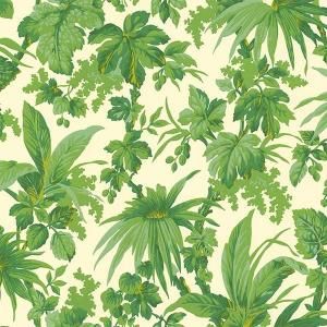 【海外取寄品】輸入壁紙<b>【GRANDE CORNICHE】</b>-Tropical- J&V(イタリア)(68cm巾×10m巻)<img class='new_mark_img2' src='https://img.shop-pro.jp/img/new/icons1.gif' style='border:none;display:inline;margin:0px;padding:0px;width:auto;' />