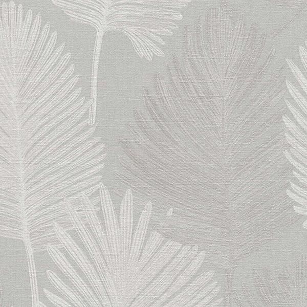 ڳʡ͢ɻ HOT SPOTS A.S. Creationʥɥġˡ53cmҡ10m 