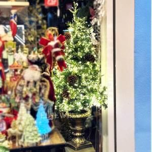 ¨Ǽġۥѥݥåȥꥹޥĥ꡼ ž3դH120cm<img class='new_mark_img2' src='https://img.shop-pro.jp/img/new/icons1.gif' style='border:none;display:inline;margin:0px;padding:0px;width:auto;' />