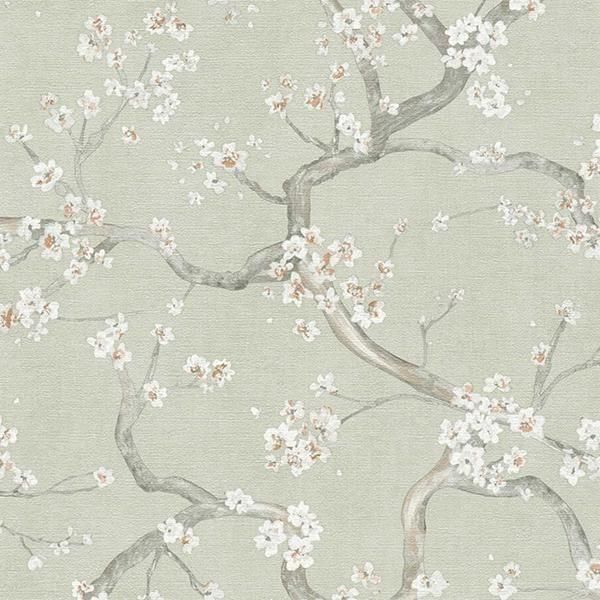 ڳʡ͢ɻ HOT SPOTS A.S. Creationʥɥġˡ53cmҡ10m 