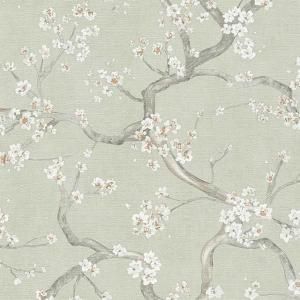 ڳʡ͢ɻ<b>HOT SPOTS</b>A.S. Creationʥɥġˡ53cmҡ10m<img class='new_mark_img2' src='https://img.shop-pro.jp/img/new/icons1.gif' style='border:none;display:inline;margin:0px;padding:0px;width:auto;' />