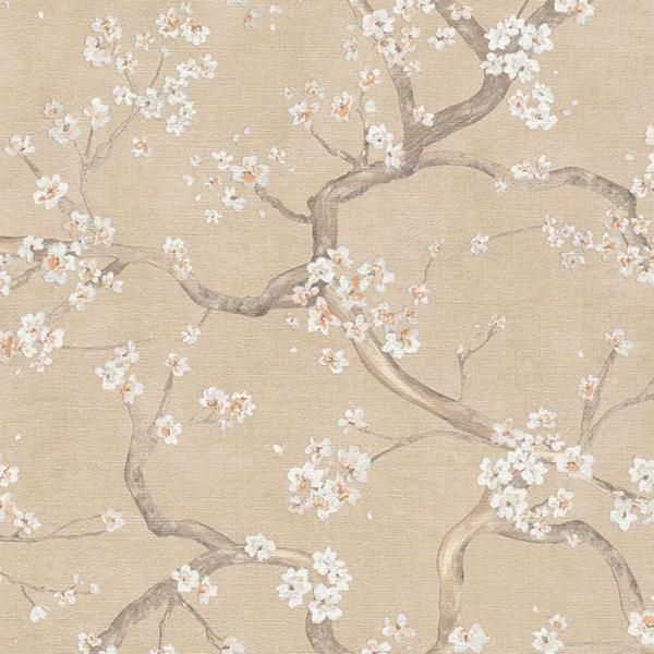 ڳʡ͢ɻ HOT SPOTS A.S. Creationʥɥġˡ53cmҡ10m 