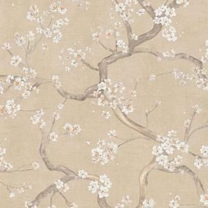 ڳʡ͢ɻ<b>HOT SPOTS</b>A.S. Creationʥɥġˡ53cmҡ10m<img class='new_mark_img2' src='https://img.shop-pro.jp/img/new/icons1.gif' style='border:none;display:inline;margin:0px;padding:0px;width:auto;' />