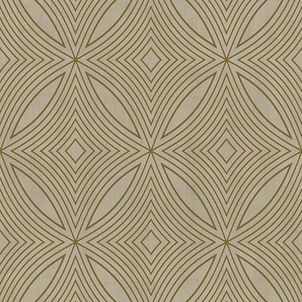 ڳʡ͢ɻ SPECIAL FX 2 -Spiral- GALERIEʥꥹˡ53cmҡ10m 