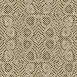 ڳʡ͢ɻ<b>SPECIAL FX 2</b>-Spiral- GALERIEʥꥹˡ53cmҡ10m<img class='new_mark_img2' src='https://img.shop-pro.jp/img/new/icons1.gif' style='border:none;display:inline;margin:0px;padding:0px;width:auto;' />