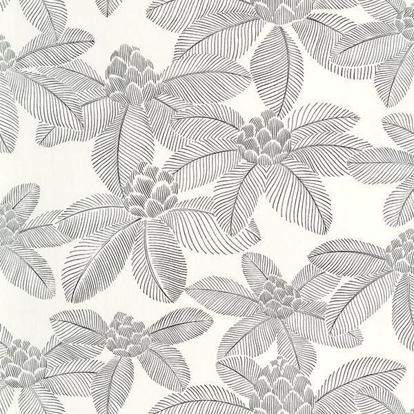 ڳʡ͢ɻ ART OF BOTANY -Lotus- CASELIOʥե󥹡ˡ53cmҡ10m 