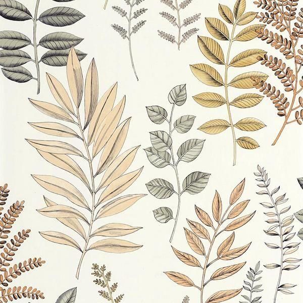 ڳʡ͢ɻ ART OF BOTANY -Florium- CASELIOʥե󥹡ˡ53cmҡ10m 