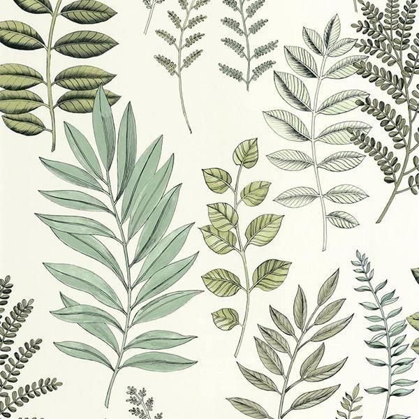 ڳʡ͢ɻ ART OF BOTANY -Florium- CASELIOʥե󥹡ˡ53cmҡ10m 