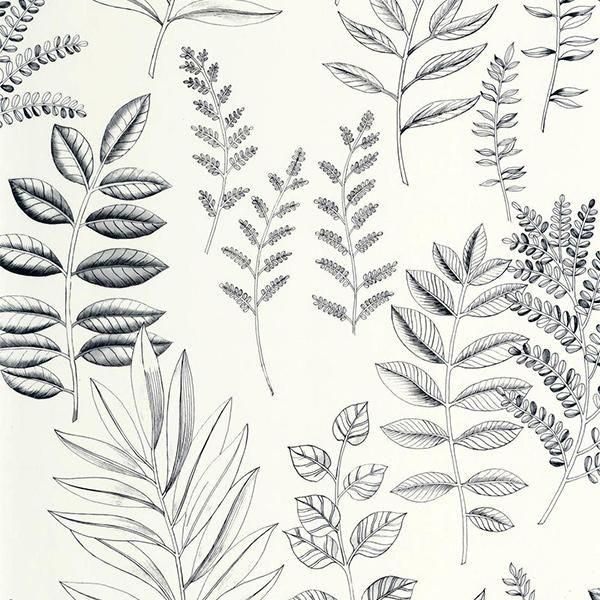 ڳʡ͢ɻ ART OF BOTANY -Florium- CASELIOʥե󥹡ˡ53cmҡ10m 