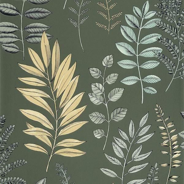 ڳʡ͢ɻ ART OF BOTANY -Florium- CASELIOʥե󥹡ˡ53cmҡ10m 