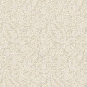 ڳʡ͢ɻ<b>AMBER</b>Eijffingerʥˡ52cmҡ10m<img class='new_mark_img2' src='https://img.shop-pro.jp/img/new/icons1.gif' style='border:none;display:inline;margin:0px;padding:0px;width:auto;' />