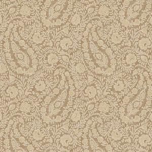 ڳʡ͢ɻ<b>AMBER</b>Eijffingerʥˡ52cmҡ10m<img class='new_mark_img2' src='https://img.shop-pro.jp/img/new/icons1.gif' style='border:none;display:inline;margin:0px;padding:0px;width:auto;' />