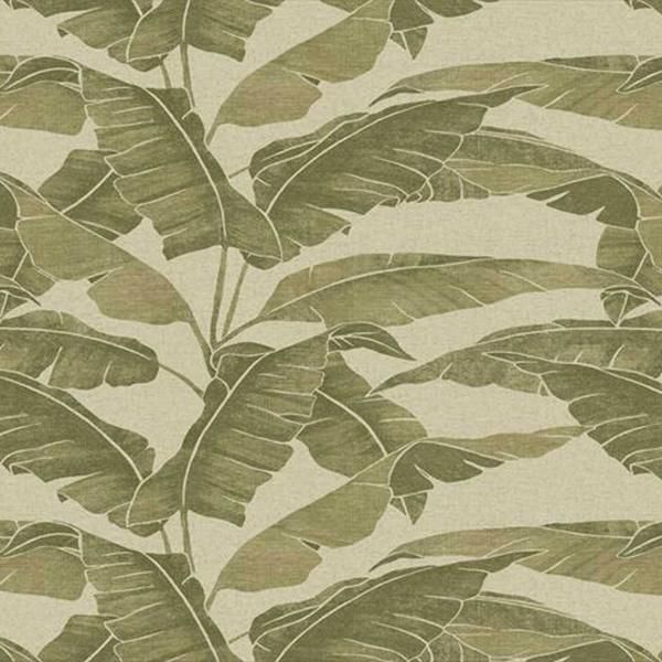 ڳʡ͢ɻ VALENCIA -Verdant- SketchTwenty3ʥꥹˡ70cmҡ10m 