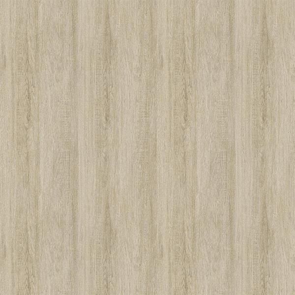 ڳʡ͢ɻ GENEVA -Veyrier- SketchTwenty3ʥꥹˡ53cmҡ10m 