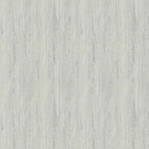 ڳʡ͢ɻ GENEVA -Veyrier- SketchTwenty3ʥꥹˡ53cmҡ10m 